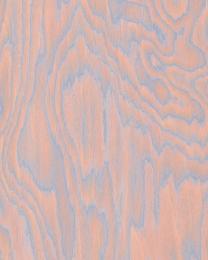 AT-1878 ソットサス ピンク【エットレ・ソットサス】