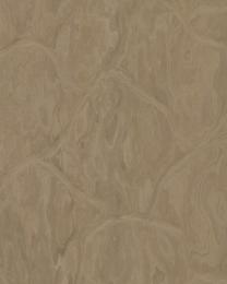 AT-1830 アグレステ・プラタ【ザ・カンパーナ・ブラザーズ】